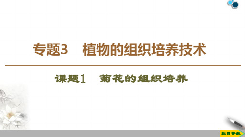 2019-2020人教版生物选修1 专题3  课题1 菊花的组织培养课件PPT
