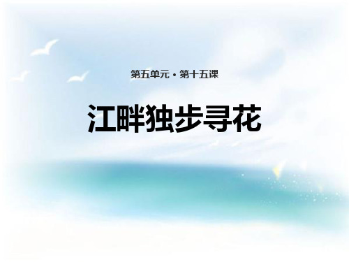 江畔独步寻花-PPT课件完美