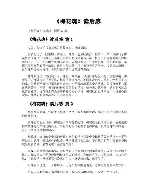《梅花魂》读后感