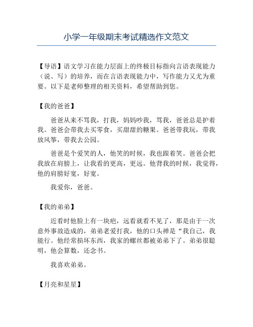 精品小学一年级期末考试精选作文范文
