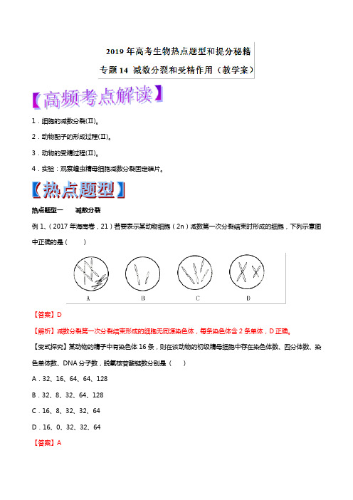 2019年高考生物提分秘籍：专题14-减数分裂和受精作用(教学案,含答案)