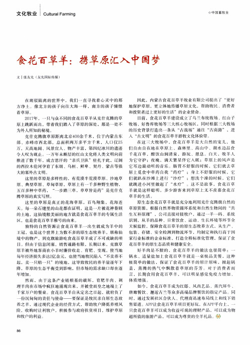 食花百草羊：携草原汇入中国梦