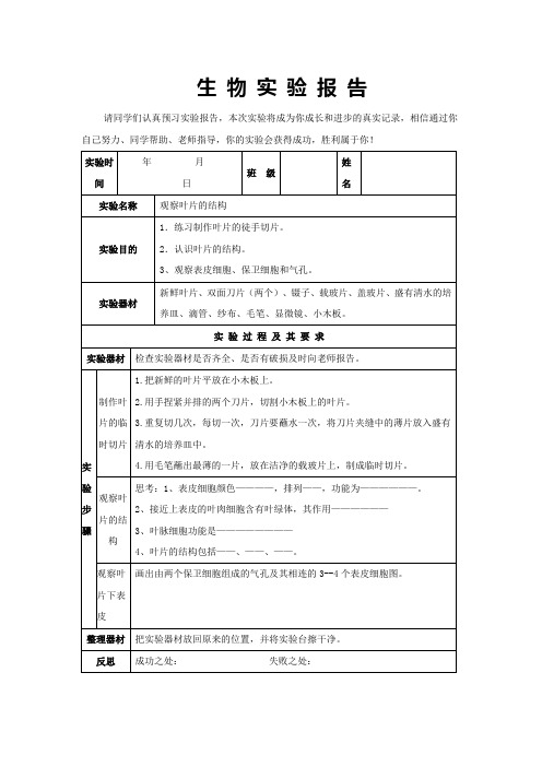 观察叶下表皮结构_实验报告单