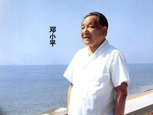 五年级上语文课件-13在大海中永生ppt 苏教版(共41张PPT)