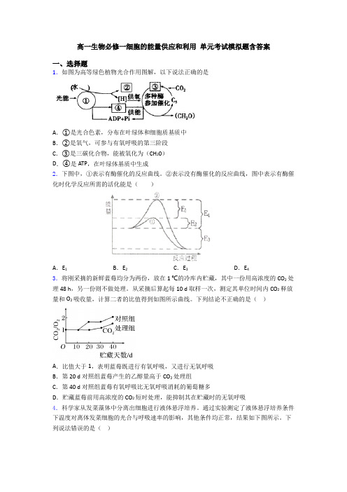 高一生物必修一细胞的能量供应和利用 单元考试模拟题含答案