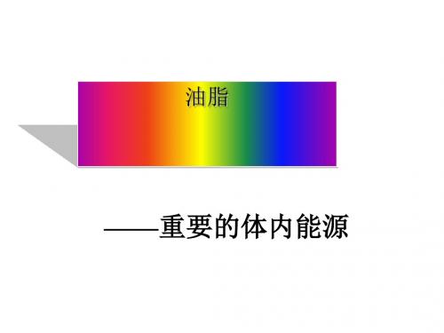 重要的体内能源——油脂 PPT课件4 人教课标版