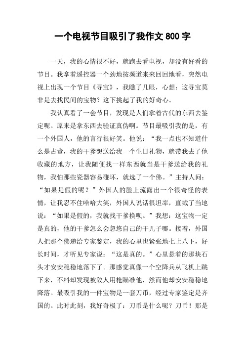 一个电视节目吸引了我作文800字