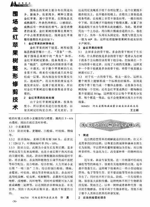 围场金红苹果树整形修剪技术