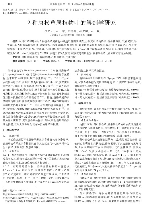 2种唐松草属植物叶的解剖学研究