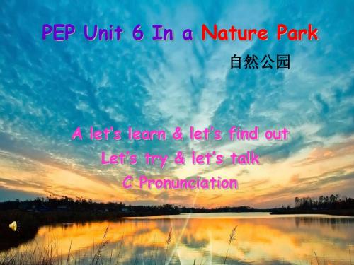 PEP英语PEP五年级上册第六单元第一课时