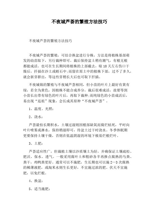 不夜城芦荟的繁殖方法技巧