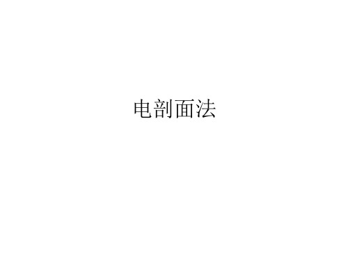 电剖面法
