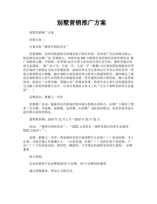 别墅营销推广方案