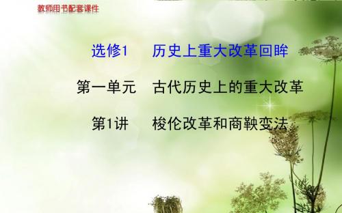 (新人教)高考历史一轮复习课件 第1讲 梭伦改革和商鞅变法(选修1,65张PPT)