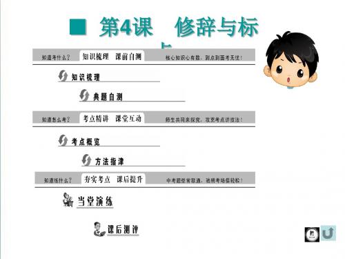 2019年中考语文复习(知识梳理 考点精讲 课后提升)：积累与运用-修辞与标点