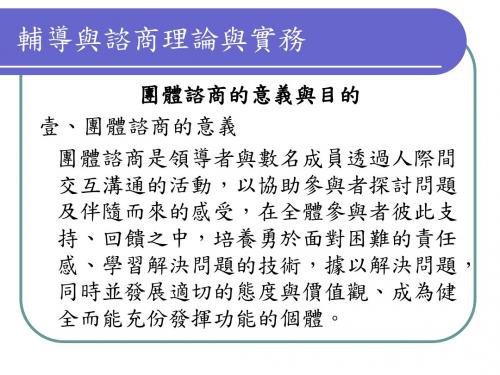 辅导与咨商理论与实务