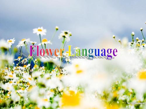 花语(英语)