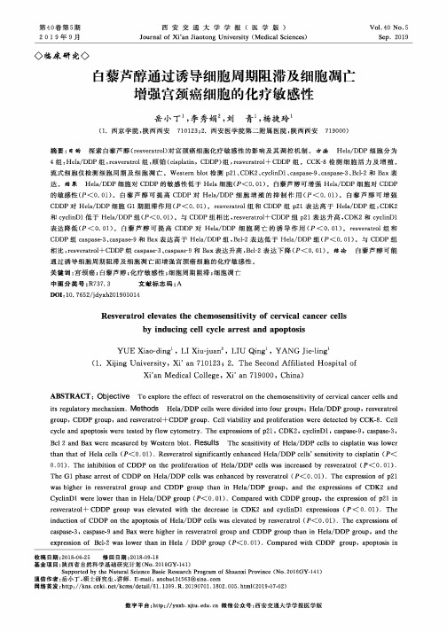 白藜芦醇通过诱导细胞周期阻滞及细胞凋亡增强宫颈癌细胞的化疗敏感性
