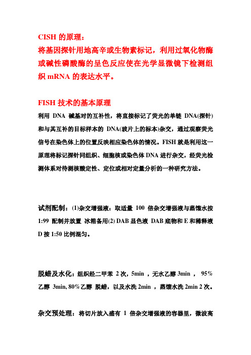 FISH技术的基本原理
