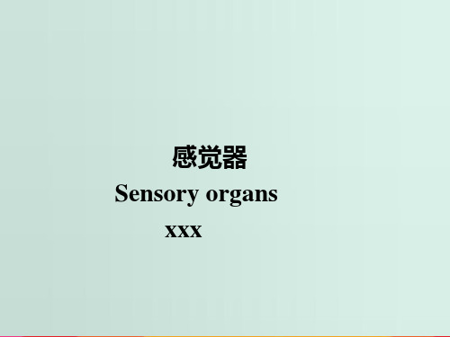 视器、前庭窝器、神经系统总论
