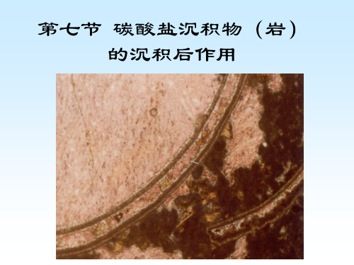 沉积学与沉积相课件碳酸盐岩沉积后作用