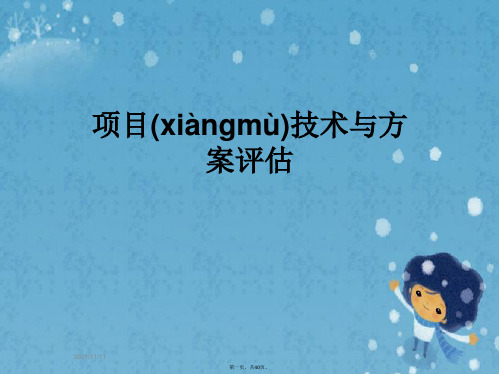 项目技术与方案评估