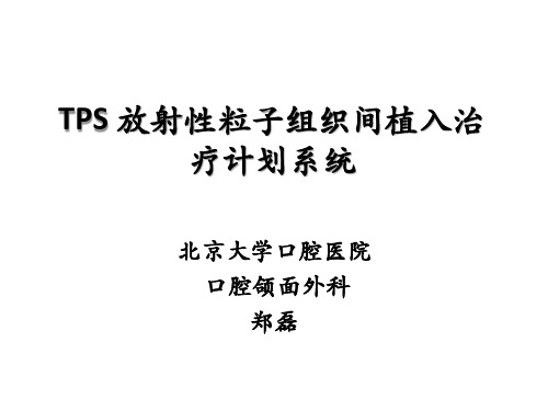 TPS 放射性粒子组织间植入治疗计划系统
