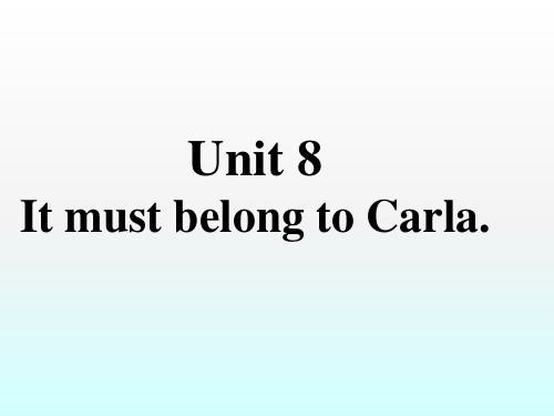 九年级英语全册重点知识口头表达专练Unit8ItmustbelongtoCarla课件