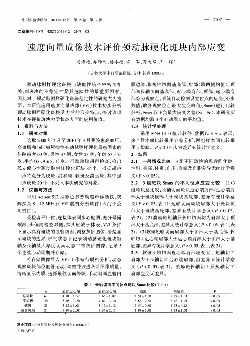 速度向量成像技术评价颈动脉硬化斑块内部应变
