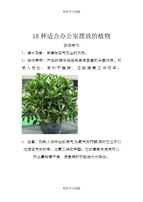 18种适合办公室摆放的植物