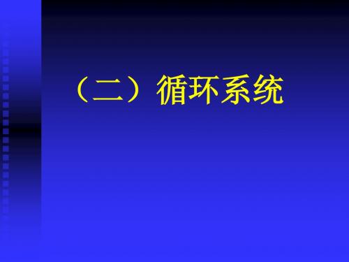 循环系统