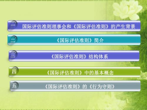估价师继续教育1——国际评估准则-PPT课件