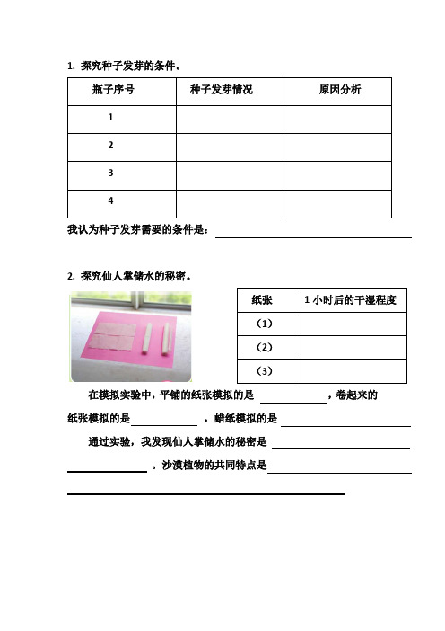 苏教版三年级科学下册科学《实验探究复习题》