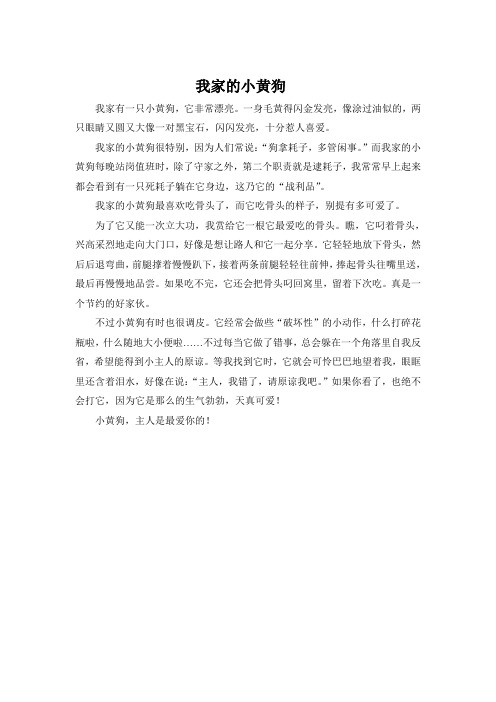 我家的小黄狗