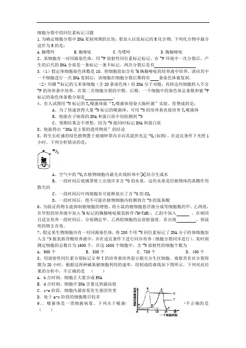 细胞分裂中的同位素标记习题