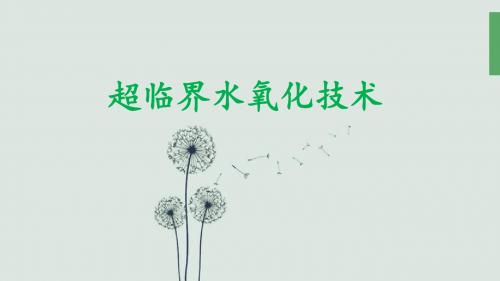 超临界氧化技术