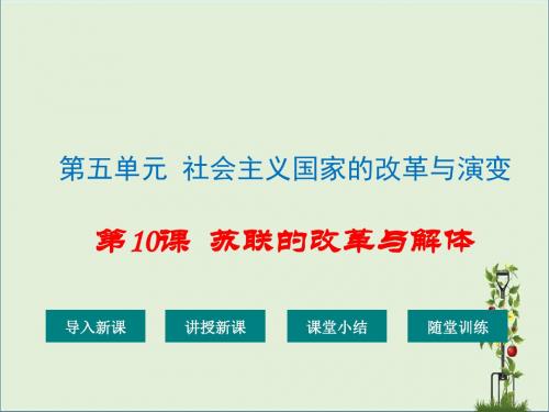 人教版九年级历史下册第10课  苏联的改革与解体 优质课件 教学课件