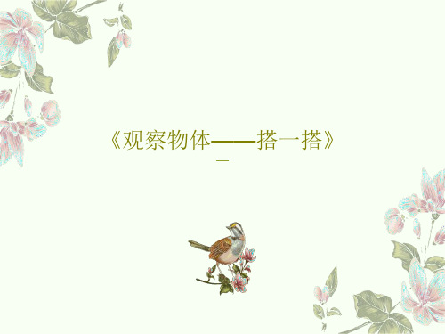 《观察物体——搭一搭》共18页