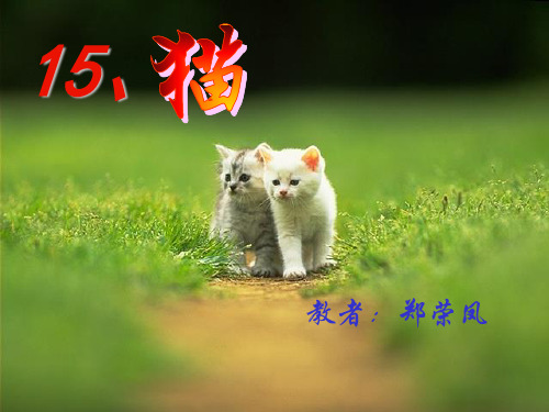 人教版四年级语文上册《猫》的课件