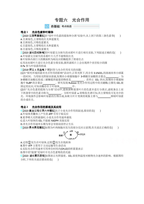 21高考生物新高考一轮复习考点考法精练：第二单元 专题六 光合作用 含解析