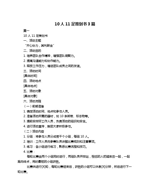 10人11足策划书3篇