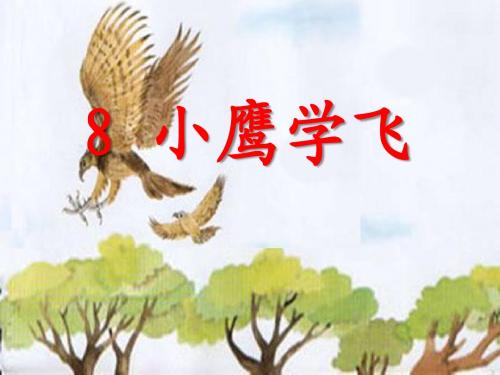 小鹰学飞PPT课件
