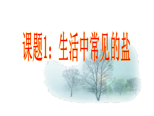 人教版九年级化学下第十一单元 盐 化肥 课题1 生活中常见的盐 教学课件共15张PPT (共15张PPT)