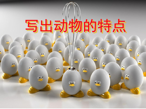 第四讲写出动物的特点