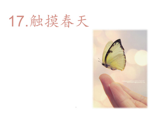 触摸春天--第二课时PPT课件