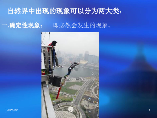 概率统计的起源与发展PPT精品课件