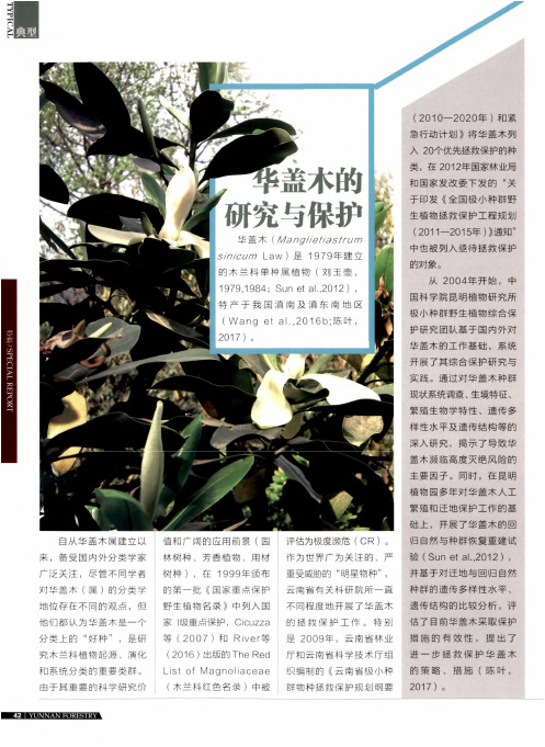 华盖木的研究与保护