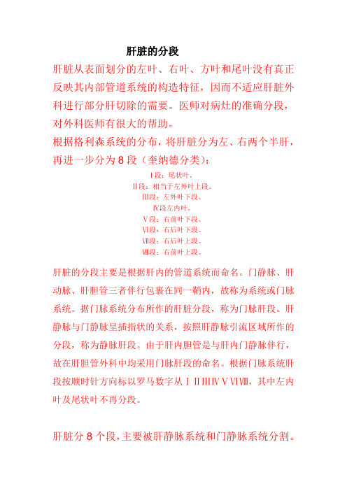 肝的分段