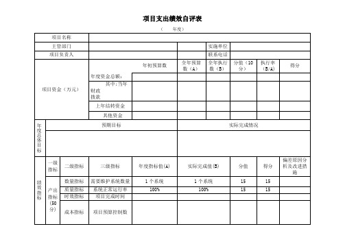 医院项目支出绩效自评表