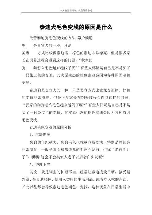 泰迪犬毛色变浅的原因是什么